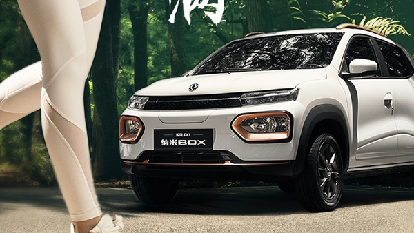 Dongfeng Nano Box