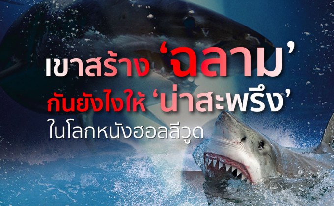 เขาสร้าง ‘ฉลาม’ กันยังไงให้ ‘น่าสะพรึง’ ในโลกหนังฮอลลีวูด