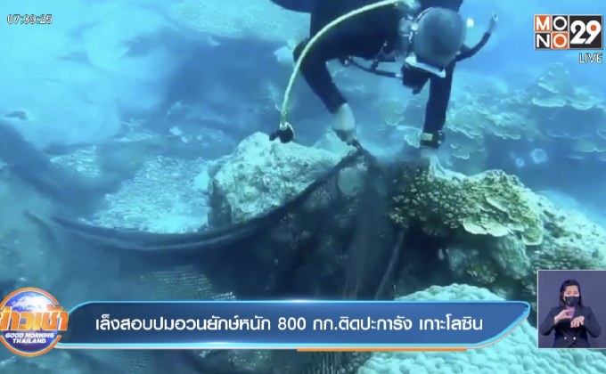 เล็งสอบปมอวนยักษ์หนัก 800 กก.ติดปะการัง เกาะโลซิน