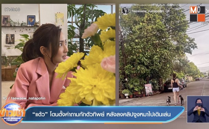 “แต้ว” โดนตั้งคำถามกักตัวทิพย์ หลังลงคลิปจูงหมาไปเดินเล่น 