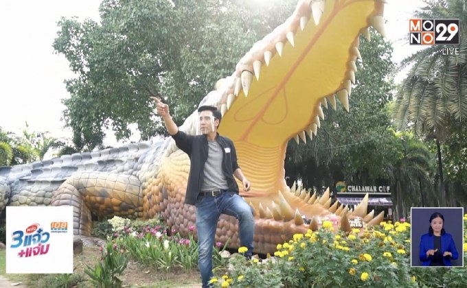 จระเข้บึงสีไฟเเห่งเมืองพิจิตร