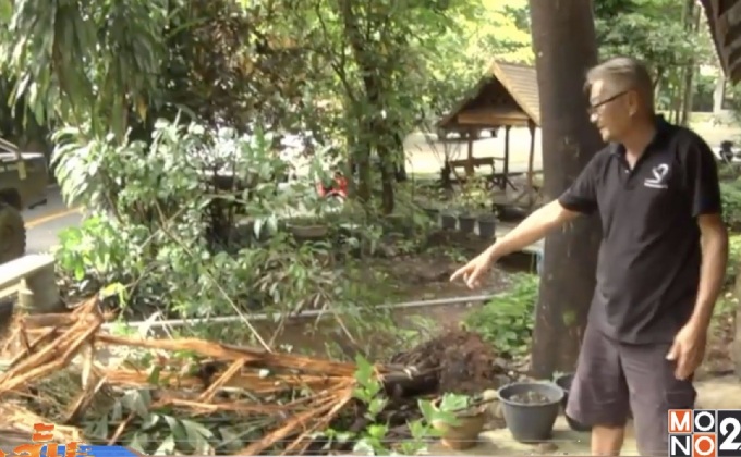 ช้างป่าออกหากินทำลายพืชผลในวัด จ.กาญจนบุรี