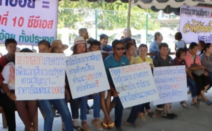 เกษตรกรทวงคำตอบแก้ปัญหาราคาอ้อยตกต่ำ 