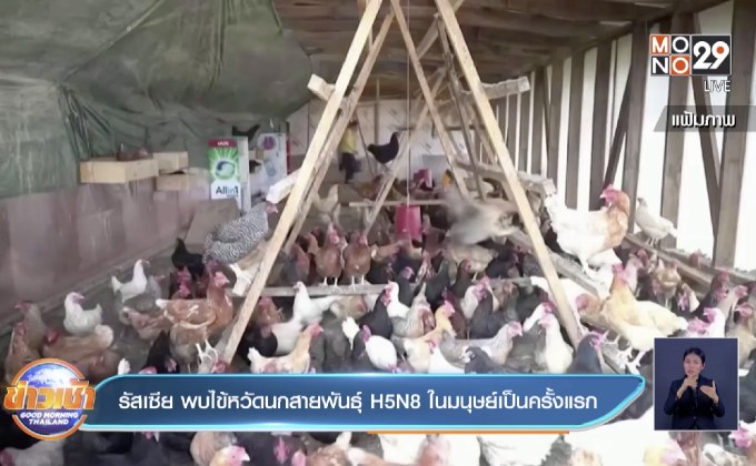 รัสเซีย พบไข้หวัดนกสายพันธุ์ H5N8 ในมนุษย์เป็นครั้งแรก