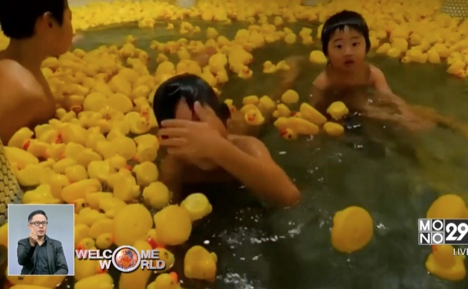 แช่น้ำกับเป็ดยาง 1,000 ตัวในญี่ปุ่น