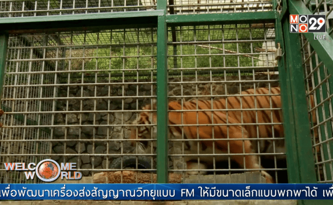 ศูนย์พักพิงสัตว์ในอินโดนีเซีย
