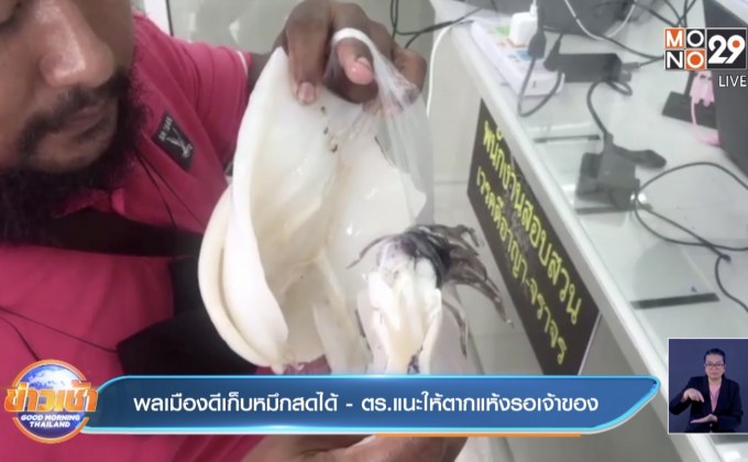 พลเมืองดีเก็บหมึกสดได้ – ตร.แนะให้ตากแห้งรอเจ้าของ