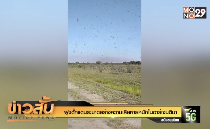 ฝูงตั๊กแตนระบาดสร้างความเสียหายหนักในอาร์เจนตินา