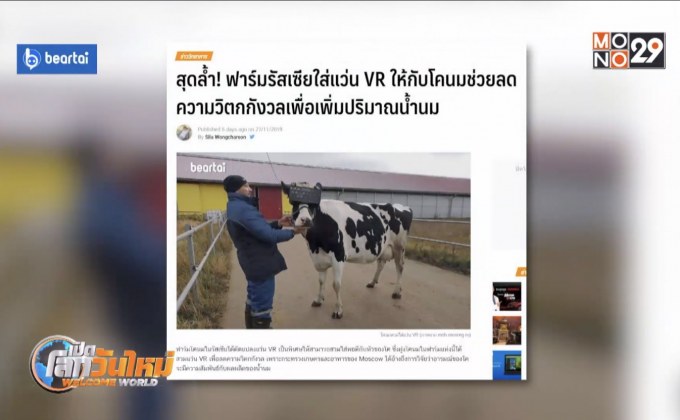 ฟาร์มรัสเซียใส่แว่น VR ให้โคนมเพื่อลดความเครียดประเภท