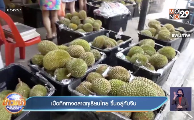 เมื่อทิศทางตลาดทุเรียนไทย ขึ้นอยู่กับจีน