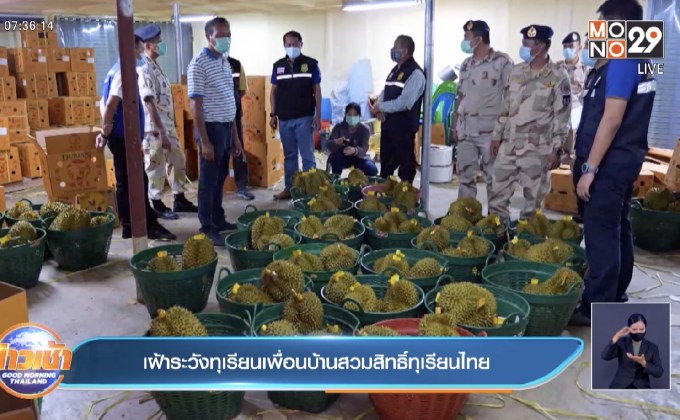 เฝ้าระวังทุเรียนเพื่อนบ้านสวมสิทธิ์ทุเรียนไทย