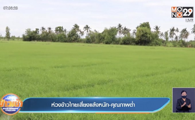 ห่วงข้าวไทยเสี่ยงแล้งหนัก-คุณภาพต่ำ
