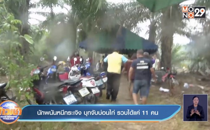 นักพนันหนีกระเจิง บุกจับบ่อนไก่ รวบได้แค่11คน