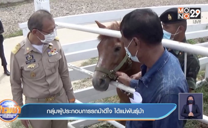 กลุ่มผู้ประกอบการรถม้าดีใจ ได้แม่พันธุ์ม้า