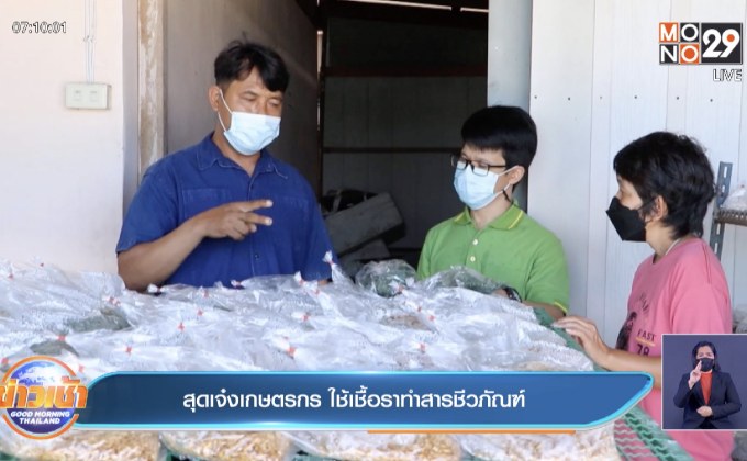 สุดเจ๋งเกษตรกร ใช้เชื้อราทำสารชีวภัณฑ์