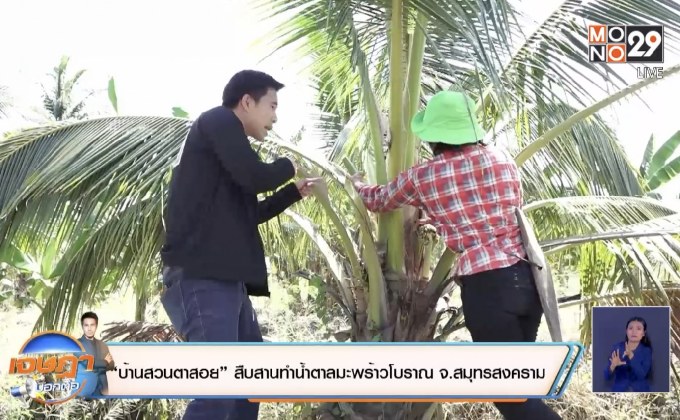 “บ้านสวนตาสอย” สืบสานทำน้ำตาลมะพร้าวโบราณ จ.สมุทรสงคราม