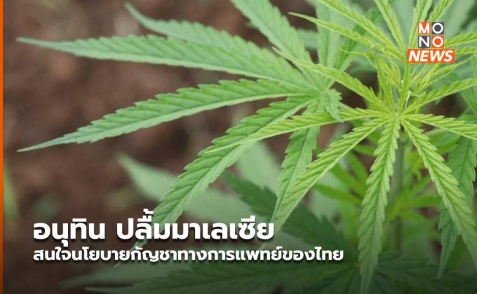 อนุทิน ปลื้มมาเลเซีย สนใจนโยบายกัญชาทางการแพทย์ของไทย