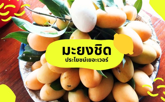 มะยงชิด ประโยชน์เยอะเวอร์ ผลไม้รสชาติเปรี้ยวหวาน หน้าร้อนนี้ต้องได้กิน!
