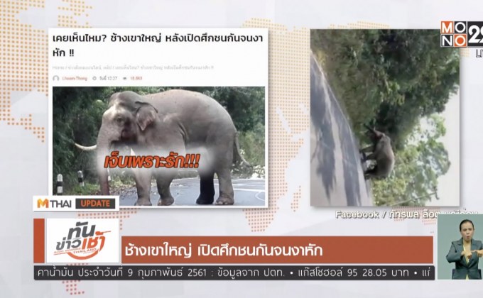 MTHAI update 09-02-61