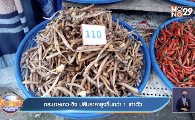 กระชายขาว-ขิง ปรับราคาสูงขึ้นกว่า 1 เท่าตัว
