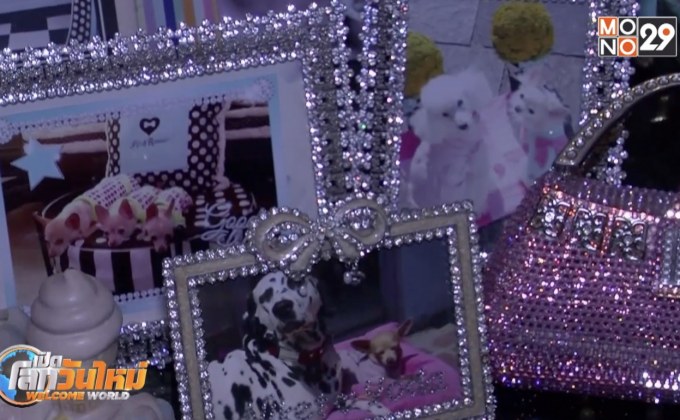 เทรนด์ของขวัญสุดหรูเพื่อน้องหมา