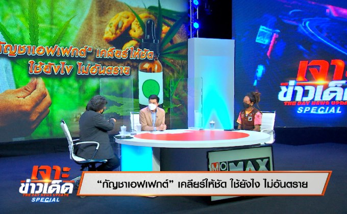 “กัญชาเอฟเฟกต์ เคลียร์ให้ชัด ใช้ยังไงไม่อันตราย”