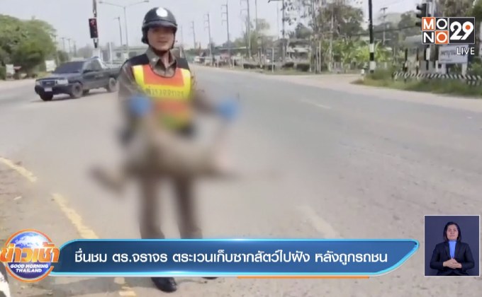 ชื่นชม ตร.จราจร ตระเวนเก็บซากสัตว์ไปฝัง หลังถูกรถชน