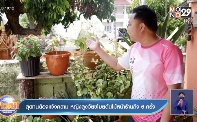 สุดทนต้องแจ้งความ หญิงสูงวัยขโมยต้นไม้หน้าร้านถึง 6 ครั้ง