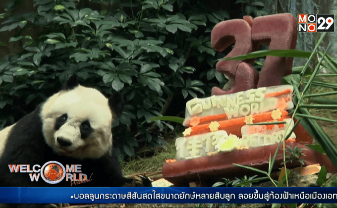 แพนด้าเลี้ยงอายุยืนที่สุดในโลก