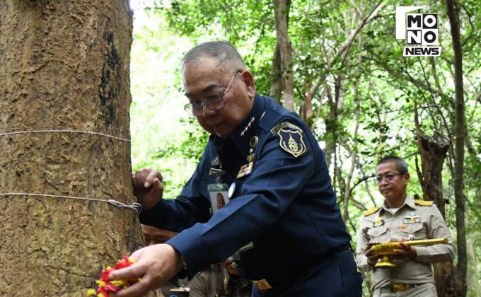 พิธีบวงสรวงตัดไม้จันทน์หอม เตรียมสร้างพระโกศจันทน์
