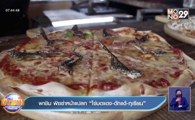 พาชิม พิซซ่าหน้าแปลก “ไข่มดแดง-ดักแด้-ทุเรียน”