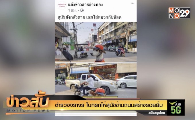 ตำรวจ จราจร โบกรถให้สุนัขข้ามถนนสร้างรอยยิ้ม