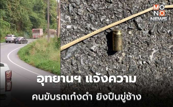 จนท.แก่งกระจาน แจ้งความจับ เก๋งดำ ยิงขู่ช้างป่าในเขตอุทยานฯ