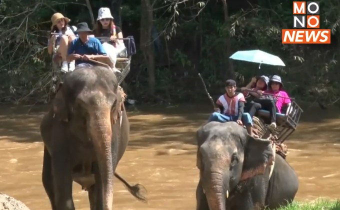 เพิ่มช้างรับนทท.จีน มั่นใจฟรีวีซ่าคือยาแรงฟื้นท่องเที่ยว