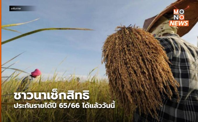ชาวนาเช็กสิทธิประกันรายได้ปี 65/66 ได้แล้ววันนี้
