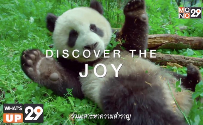 ภ.สารคดี “Earth: One Amazing Day เอิร์ธ 1 วันมหัศจรรย์โลก” พร้อมให้รับชมแล้ววันนี้ที่ MONOMAX