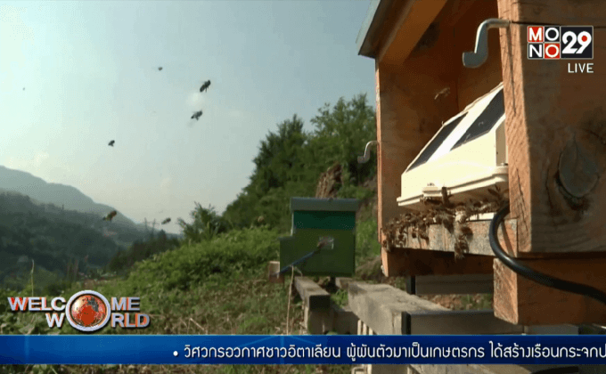 เทคโนโลยีตรวจสอบรังผึ้ง