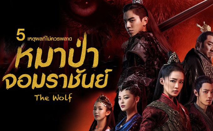5 เหตุผลที่ไม่ควรพลาด The Wolf หมาป่าจอมราชันย์