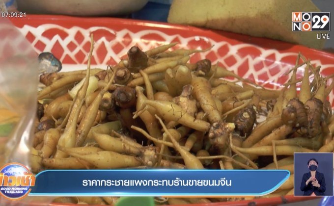 กระชายแพงกระทบร้านเครื่องดื่มสมุนไพร