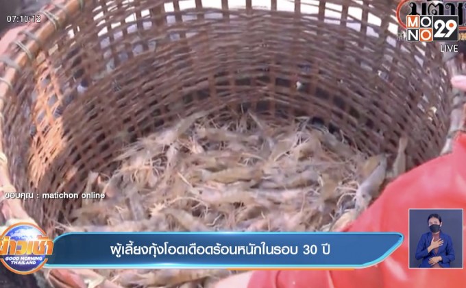 ผู้เลี้ยงกุ้งโอดเดือดร้อนหนักในรอบ 30 ปี
