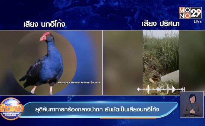ยุติค้นหาทารกร้องกลางป่ากก ยันชัดเป็นเสียงนกอีโก้ง