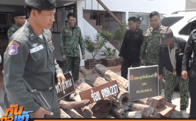 ตชด.สกัดจับรถเก๋งดัดแปลงขนไม้พะยูง