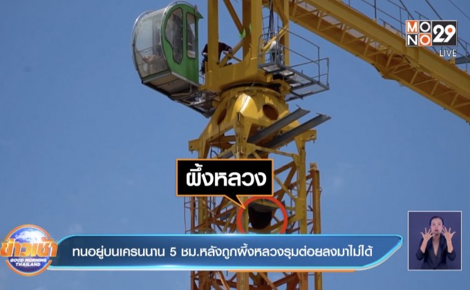 ทนอยู่บนเครนนาน 5 ชม.หลังถูกผึ้งหลวงรุมต่อยลงมาไม่ได้