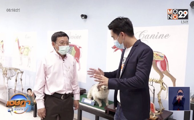 ขั้นตอนอุทิศสัตว์แสนรักเป็น “อาจารย์ใหญ่”