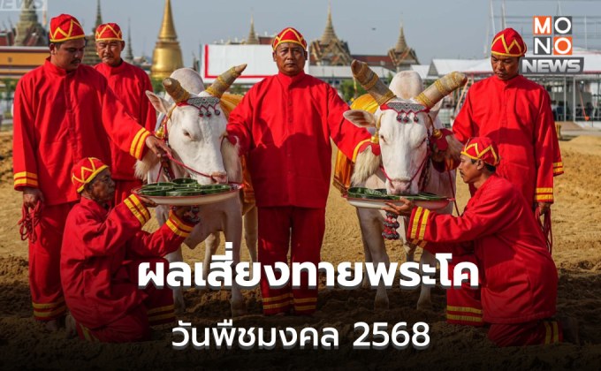 วันพืชมงคล2568 พระโคกินอะไร – ผลการเสี่ยงทายพระโค – ผ้านุ่งพระยาแรกนา