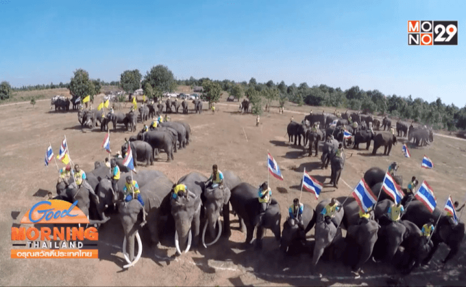 ช้าง 199 เชือก แปรอักษรถวายพระพรวันพ่อแห่งชาติ