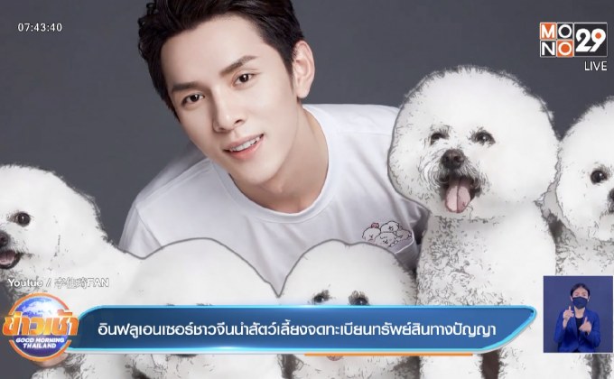 อินฟลูเอนเซอร์ชาวจีนนำสัตว์เลี้ยงจดทะเบียนทรัพย์สินทางปัญญา