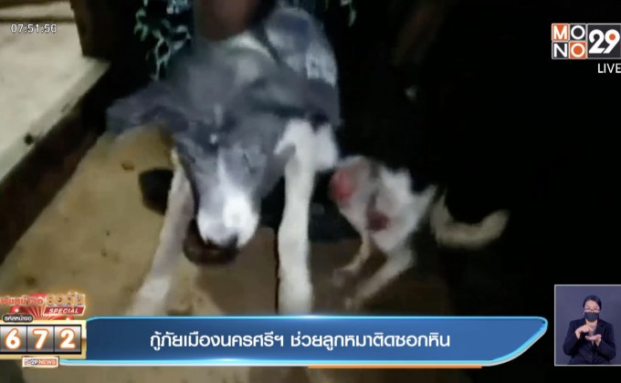 กู้ภัยเมืองนครศรีฯ ช่วยลูกหมาติดซอกหิน