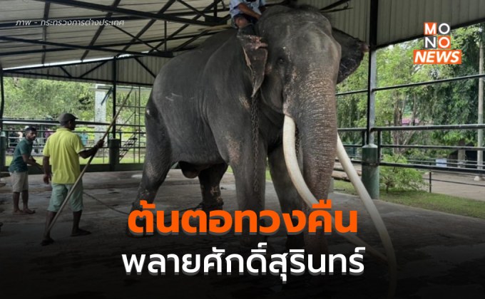ช้างและความเชื่อในศรีลังกา ต้นตอของการทางคืน พลายศักดิ์สุรินทร์กลับบ้าน