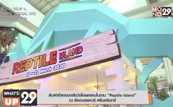 สัมผัสโลกของสัตว์เลื้อยคลานในงาน “Reptile Island”  ณ ซีคอนสแควร์ ศรีนครินทร์